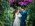 Wedding in Portofino – Abbazia la Cervara